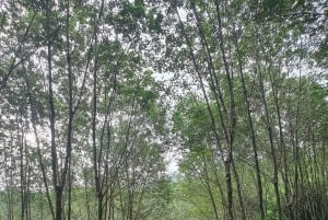 Excursión privada a Ho Chi Minh: ruta por Chua Chan