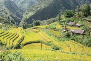 Private Hoang Lien National Park & Tribal Village Trek