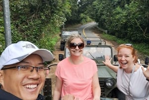 Yksityinen jeeppikierros Marble - Monkey Mountains -Son Tra huippu