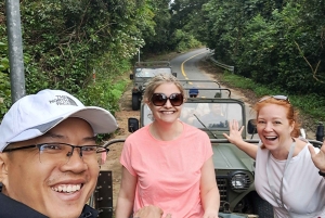 Tour particular de jipe a Marble - Monkey Mountains -Son Tra peak