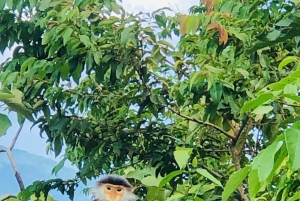 Tour particular de jipe a Marble - Monkey Mountains -Son Tra peak