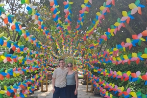 Tour particular de jipe a Marble - Monkey Mountains -Son Tra peak