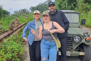 Tour particular de jipe a Marble - Monkey Mountains -Son Tra peak