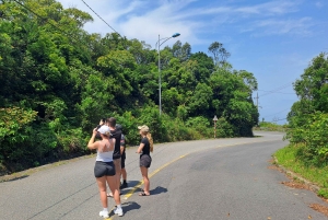 Tour particular de jipe a Marble - Monkey Mountains -Son Tra peak