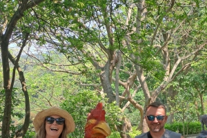 Tour particular de jipe a Marble - Monkey Mountains -Son Tra peak