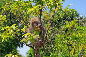 Tour particular de jipe a Marble - Monkey Mountains -Son Tra peak