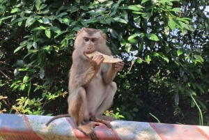 Tour particular de jipe a Marble - Monkey Mountains -Son Tra peak