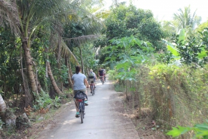 Private Mekong Delta Tour to Ben Tre and My Tho with Biking