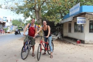 Private Mekong Delta Tour to Ben Tre and My Tho with Biking