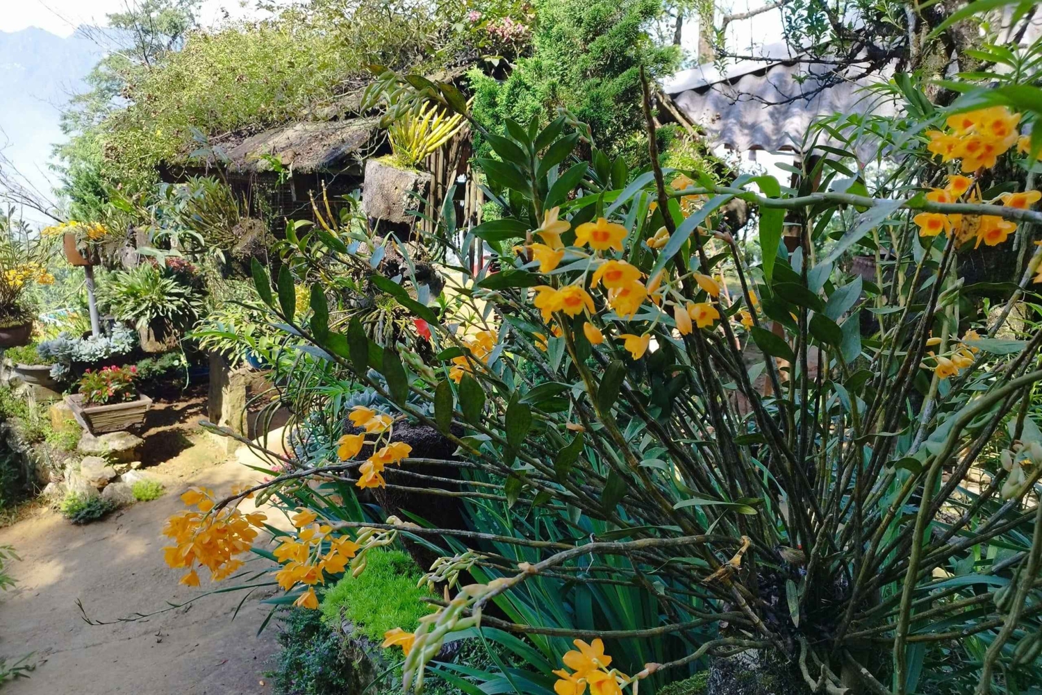 [Private] Trekking to Sapa Highest Village & Panoramic View