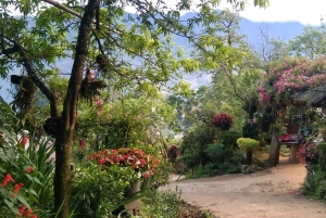 [Private] Trekking to Sapa Highest Village & Panoramic View