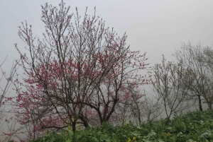 [Private] Trekking to Sapa Highest Village & Panoramic View