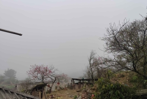 [Private] Trekking to Sapa Highest Village & Panoramic View