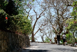 From Ho Chi Minh city: Vung Tau Beach Private Day Tour