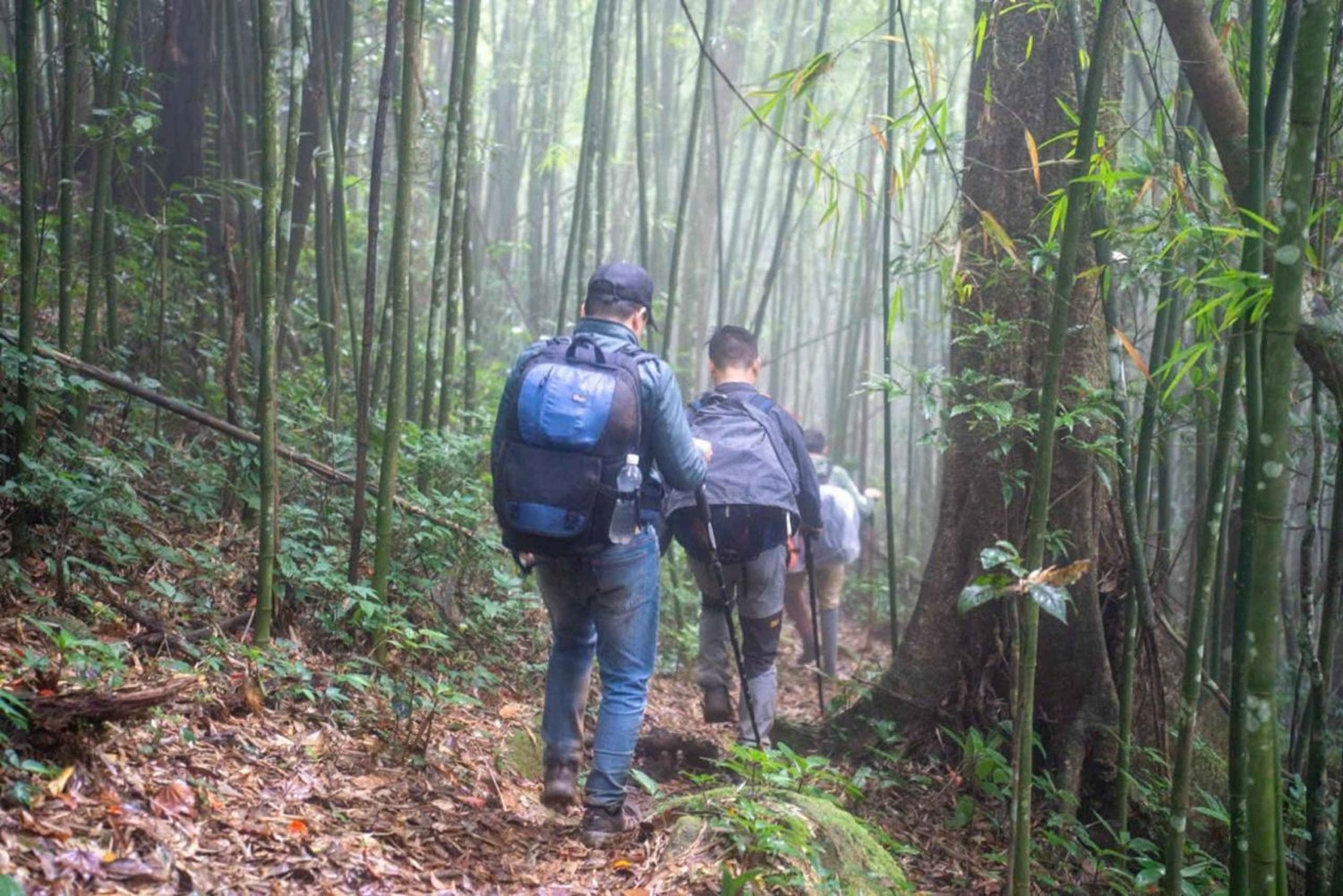 From Ninh Binh: 2-Day 4-Star Lan Ha & Halong Bay Cruise Tour