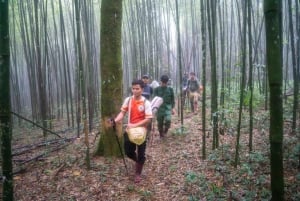 A partir de Ninh Binh: 2-dia 4-estrela cruzeiro guiado pela Baía de Lan Ha e Halong