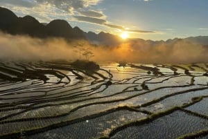 A partir de Ninh Binh: 2-dia 4-estrela cruzeiro guiado pela Baía de Lan Ha e Halong