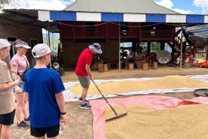Pu Luong : pont de bambou, cours de cuisine et balade en charrette