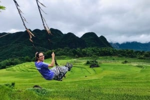 From Ninh Binh: Mua Cave Sunset, Trang An Boat & Bich Dong
