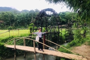 From Ninh Binh: Mua Cave Sunset, Trang An Boat & Bich Dong