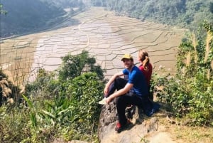From Ninh Binh: Mua Cave Sunset, Trang An Boat & Bich Dong