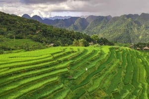 Pu Luong: tour de medio día de senderismo con visita a una granja local