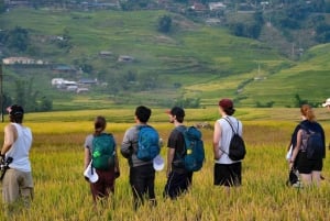 Pu Luong: Halbtägige Trekking-Tour mit ortskundigem Guide