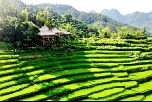 Pu Luong naturreservat trekkingtur med lokal guide