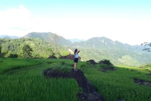 Pu Luong: excursão de um dia inteiro com caminhada off-road e almoço