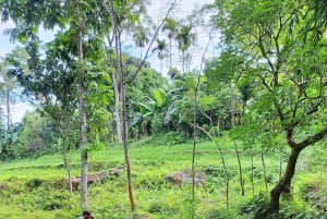 Pu Luong: excursão de um dia inteiro com caminhada off-road e almoço