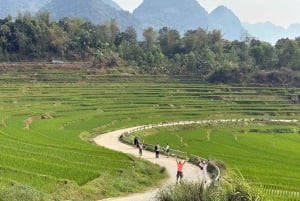 Pu Luong: dagstur til silkelandsby, Hieu-fossen og rafting