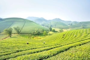 Пулуонг: прогулки по деревне, рафтинг на бамбуковых плотах и рисовые террасы