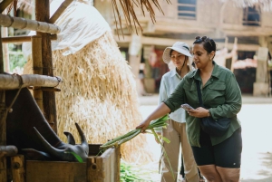 Puluong: Ancient stilt house, surprising cave Half-Day Tour