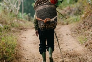 Puluong : anciennes maisons sur pilotis, grottes surprenantes. Visite d'une demi-journée.