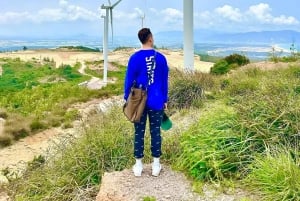 Quy Nhon: Privat sightseeingtur i Phu Yen City