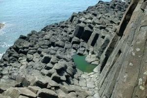 Quy Nhon: Phu Yen -päiväkierros lounaalla ja oppaalla