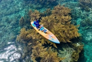 Quy Nhon: tour en SUP por los campos de algas con fotos tomadas con una cámara aérea