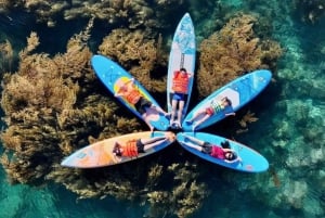 Quy Nhon: tour en SUP por los campos de algas con fotos tomadas con una cámara aérea