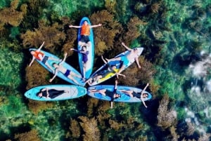 Quy Nhon: tour en SUP por los campos de algas con fotos tomadas con una cámara aérea