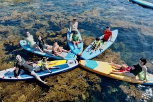 Quy Nhon: tour en SUP por los campos de algas con fotos tomadas con una cámara aérea