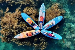 Quy Nhon: SUP-Tour durch die Seetangfelder mit Flycam-Fotos