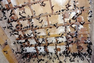 Le vrai Nha Trang : 10 expériences locales authentiques à moto