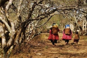 Red Dao Trek: Culture, Ancient Rose Garden & Ta Phin Village