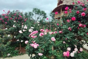 Red Dao Trek: Culture, Ancient Rose Garden & Ta Phin Village