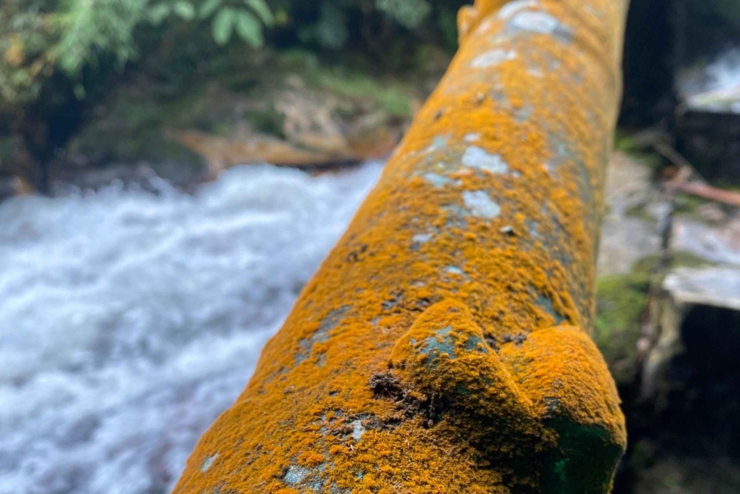 Sa Pa: Dragon Cloud Glass Bridge and Love Waterfall Tour