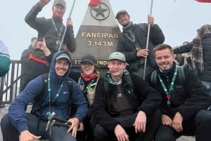 Sa Pa : randonnée d'une journée au sommet du Fansipan avec un guide de la région