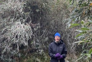 Sa Pa : randonnée d'une journée au sommet du Fansipan avec un guide de la région