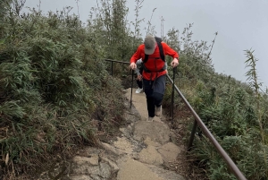 Sa Pa: Caminhada de um dia ao Pico Fansipan com guia local