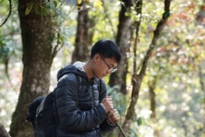 Sa Pa: Caminhada de um dia ao Pico Fansipan com guia local