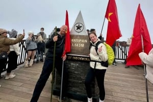 Sa Pa: Caminhada de um dia ao Pico Fansipan com guia local